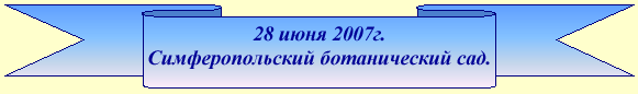 �������� �� ���������������� ������������� ���� (28.07.2007)